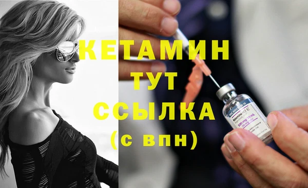 сатива Балахна