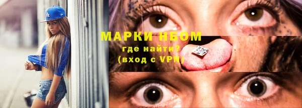 сатива Балахна
