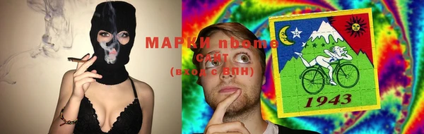 сатива Балахна