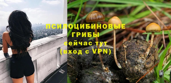 сатива Балахна