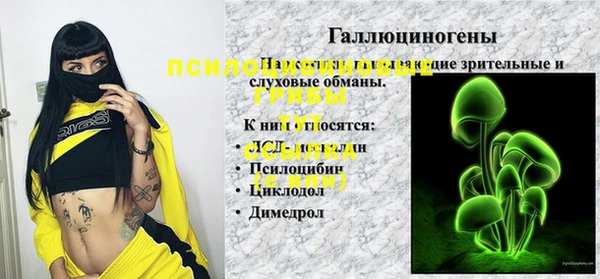 сатива Балахна