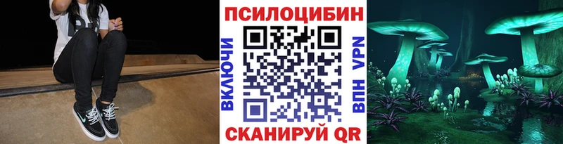 Псилоцибиновые грибы MAGIC MUSHROOMS как найти Обь